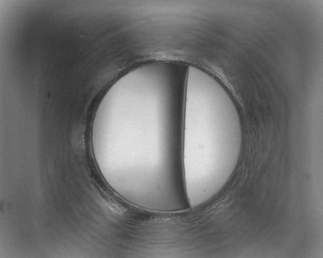 X0000074940299200609010952