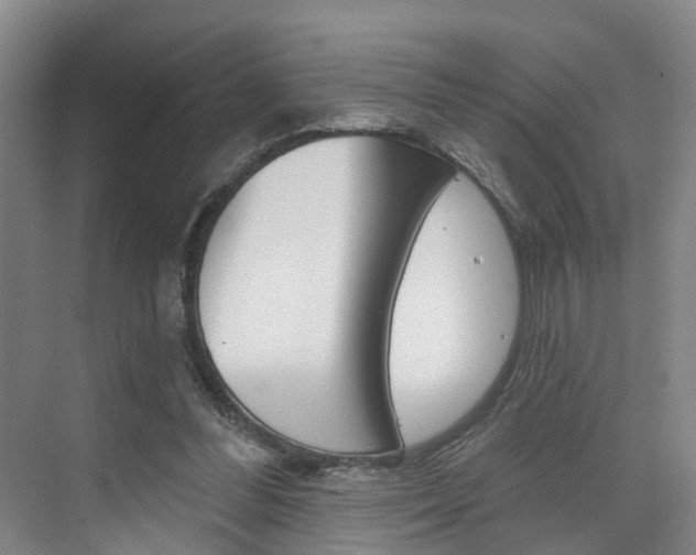 X0000074940300200609010952