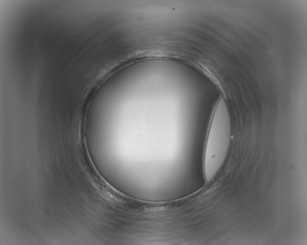 X0000074940301200609010952