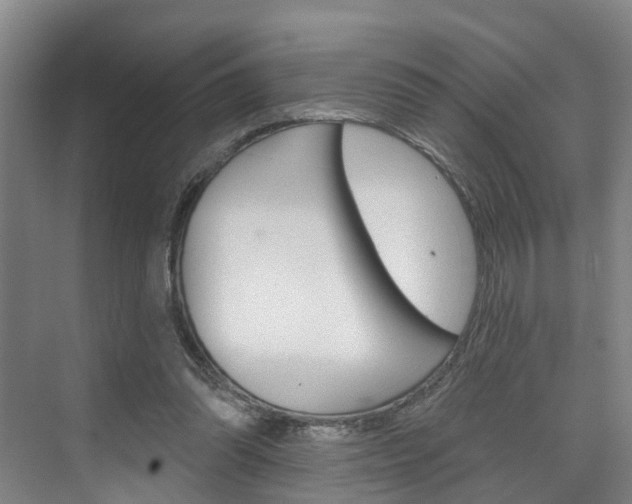 X0000074940302200609010952