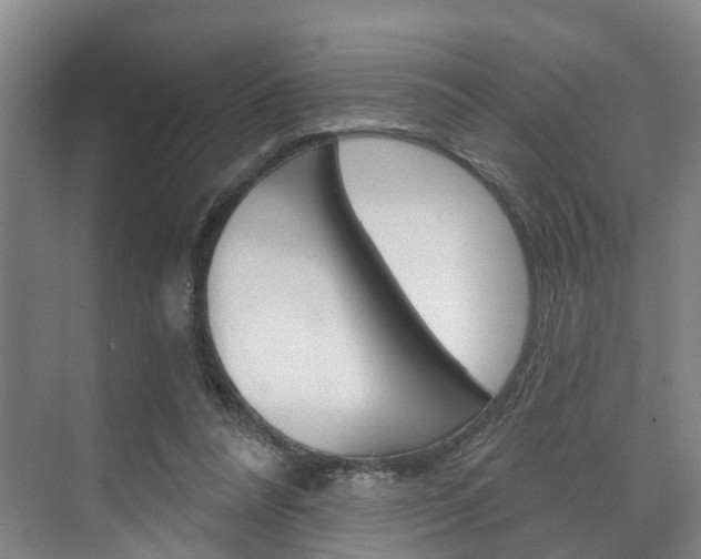 X0000074940304200609010952