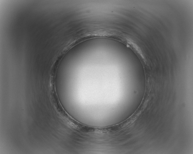 X0000074940305200609010952