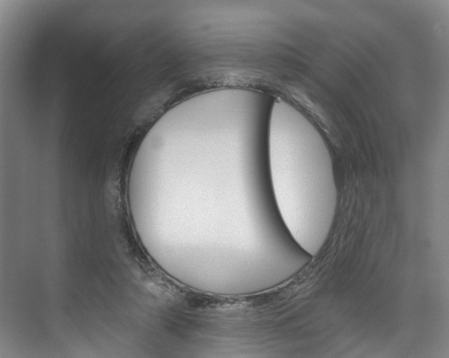 X0000074940306200609010952