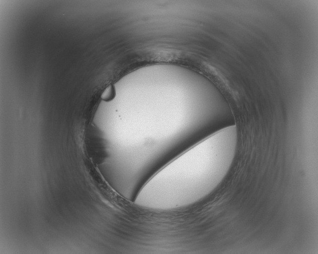 X0000074940307200609010952