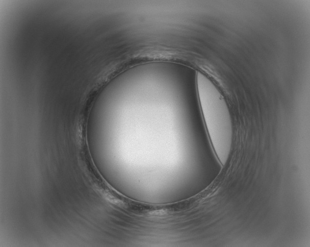 X0000074940309200609010952