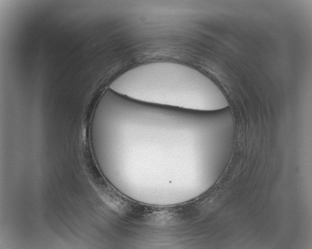 X0000074940310200609010952