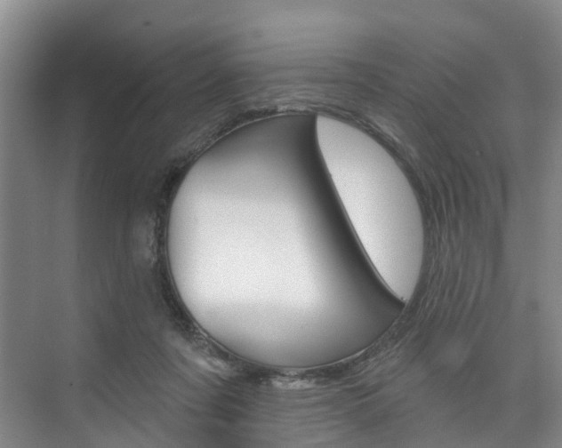 X0000074940311200609010952