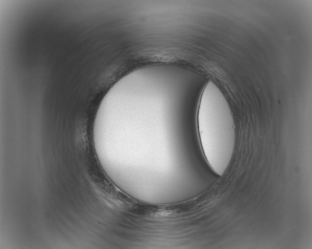 X0000074940312200609010952