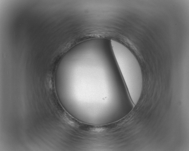 X0000074940313200609010952