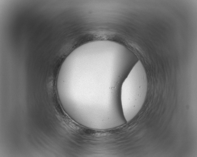 X0000074940314200609010952