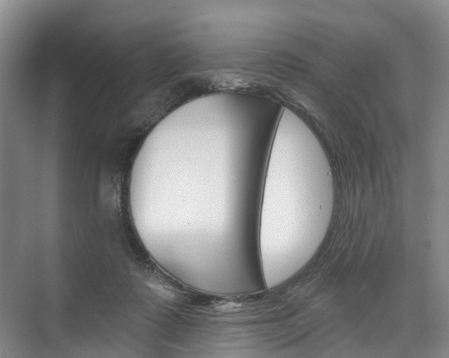 X0000074940315200609010952