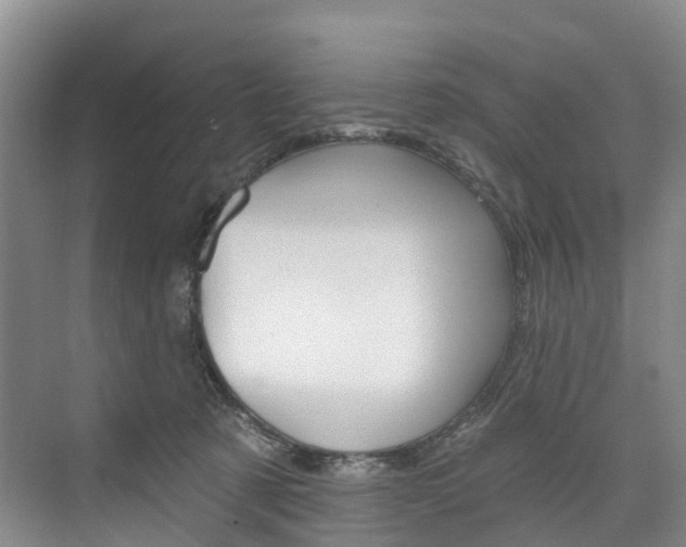 X0000074940321200609010952