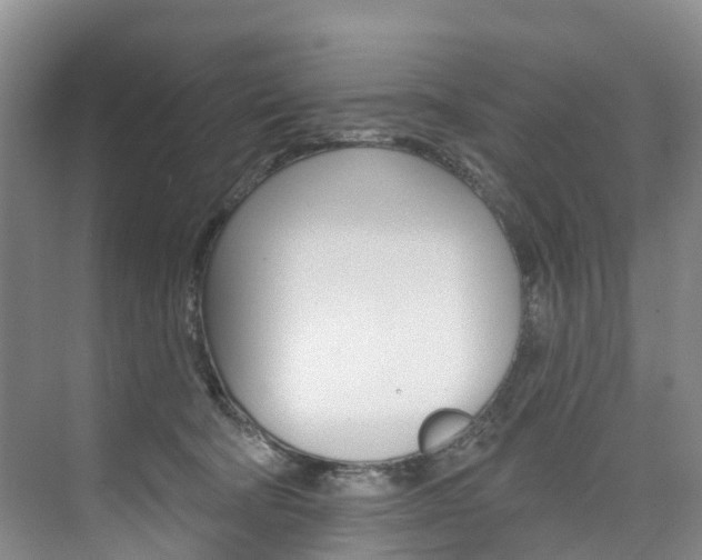 X0000074940322200609010951