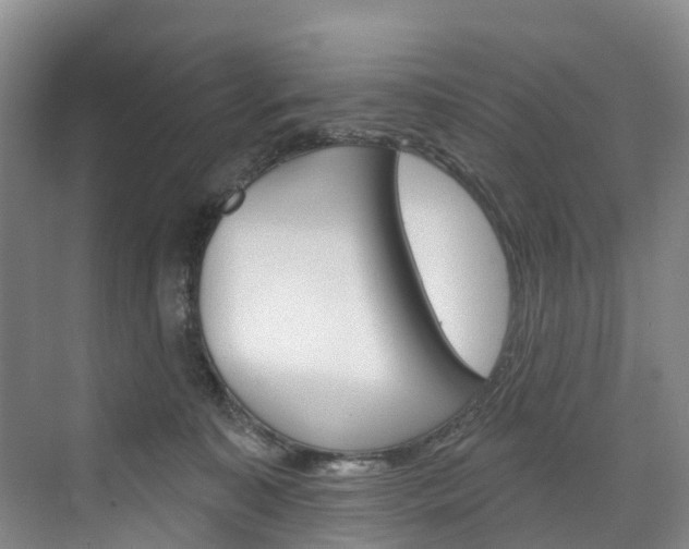 X0000074940323200609010951