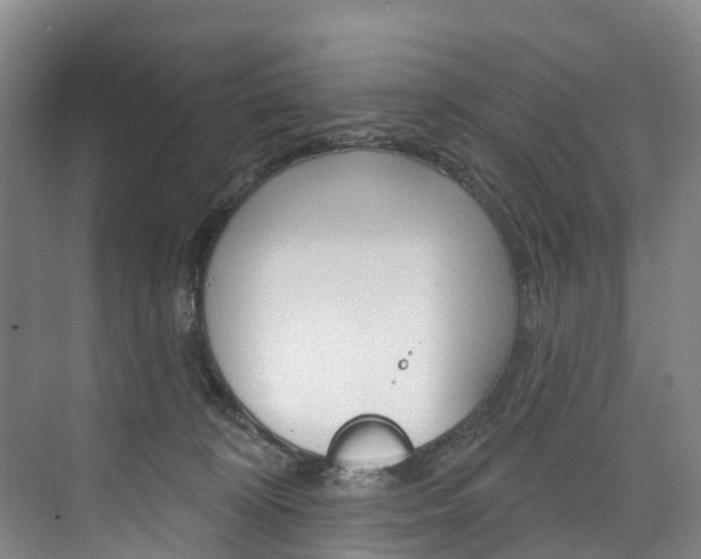 X0000074940324200609010951