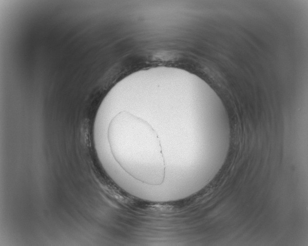 X0000074940328200609010951