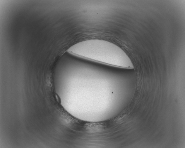 X0000074940331200609010951