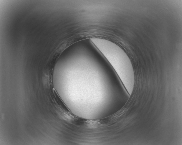 X0000074940333200609010951