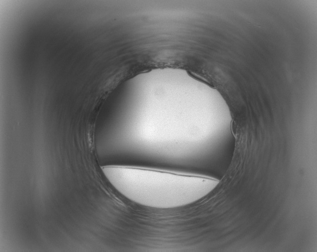 X0000074940335200609010951