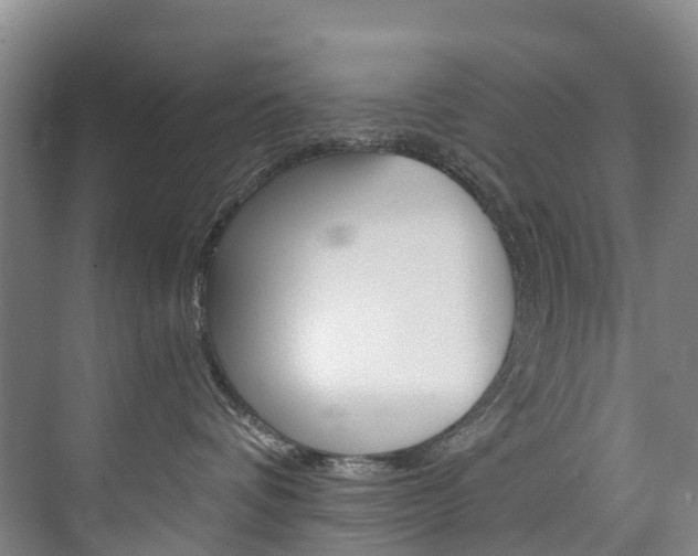 X0000074940336200609010951