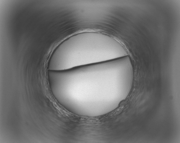 X0000074940337200609010950