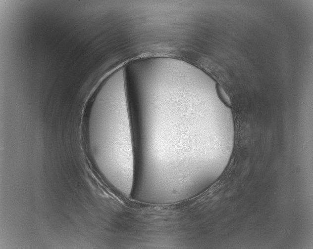 X0000074940338200609010950