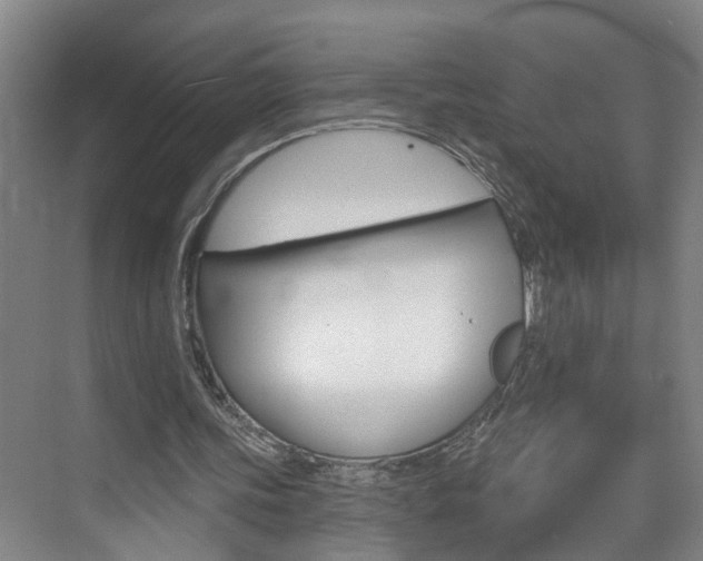 X0000074940339200609010950