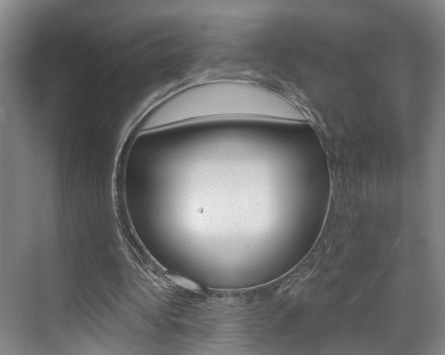 X0000074940340200609010950