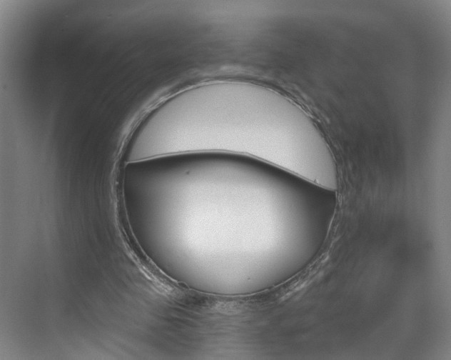 X0000074940341200609010951