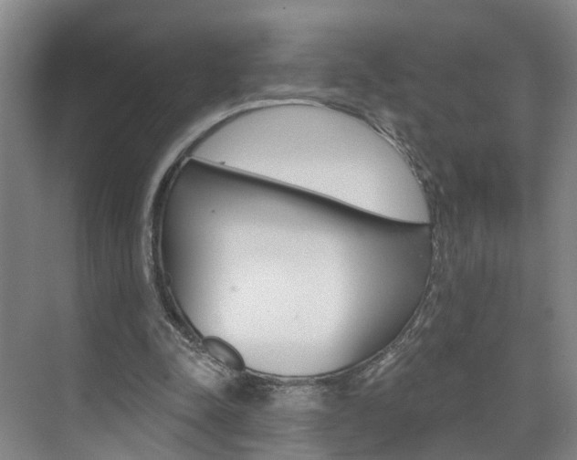 X0000074940342200609010951