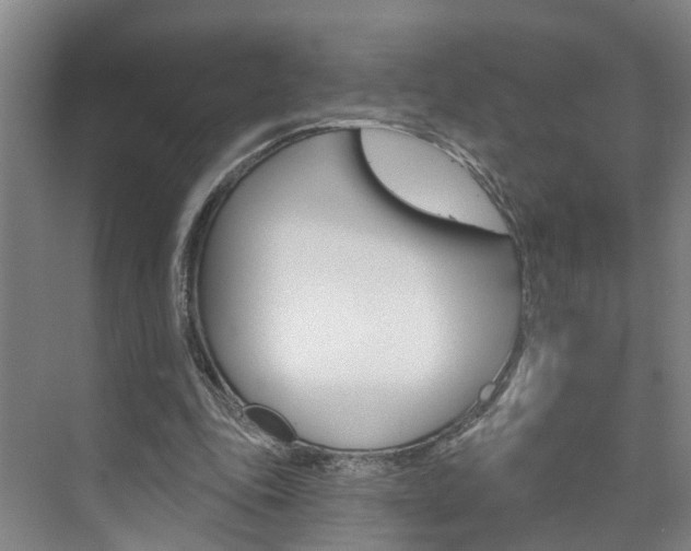 X0000074940343200609010951