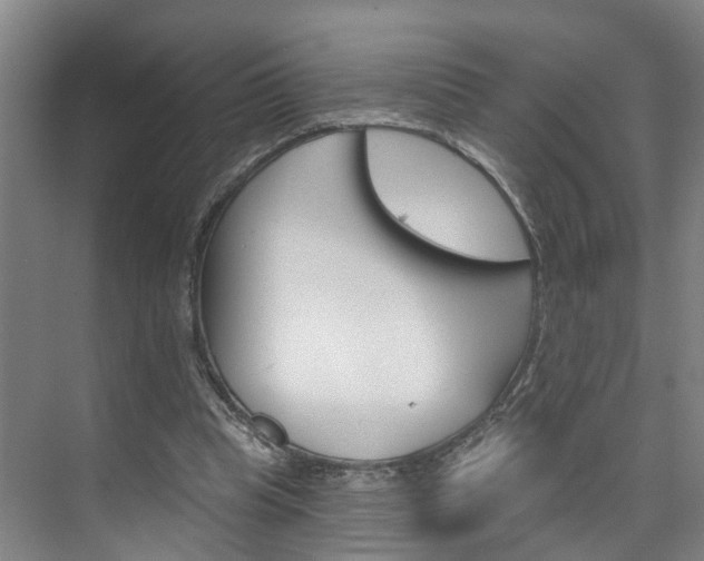 X0000074940345200609010951