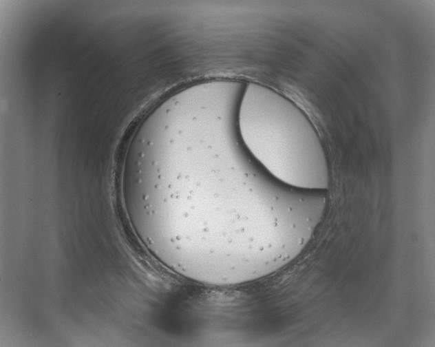 X0000074940346200609010951