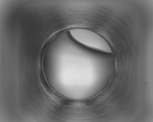 X0000074940348200609010951