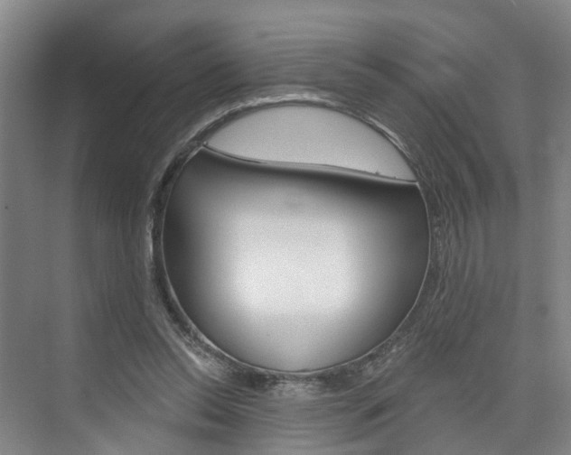 X0000074940350200609010951