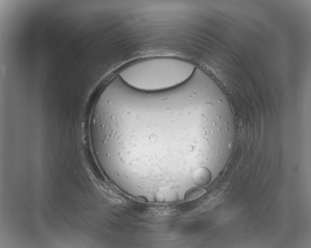 X0000074940351200609010951