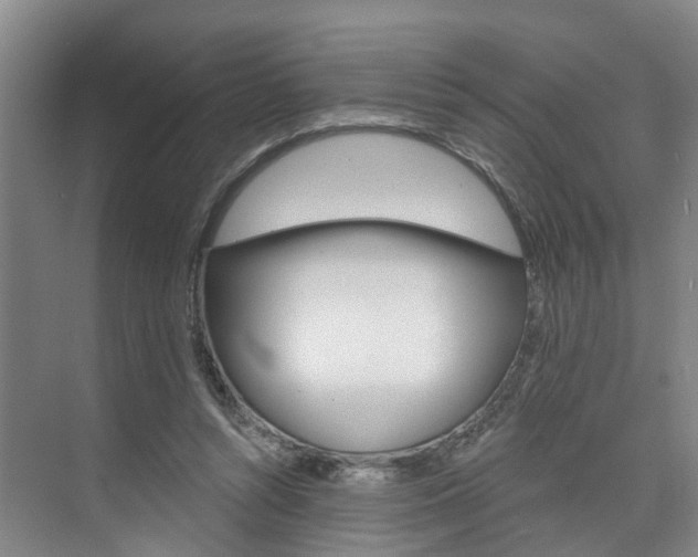 X0000074940352200609010951