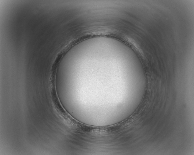 X0000074940354200609010951