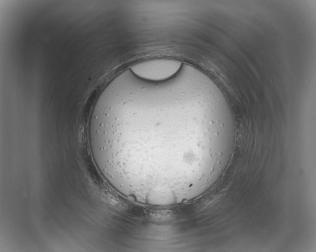 X0000074940355200609010951