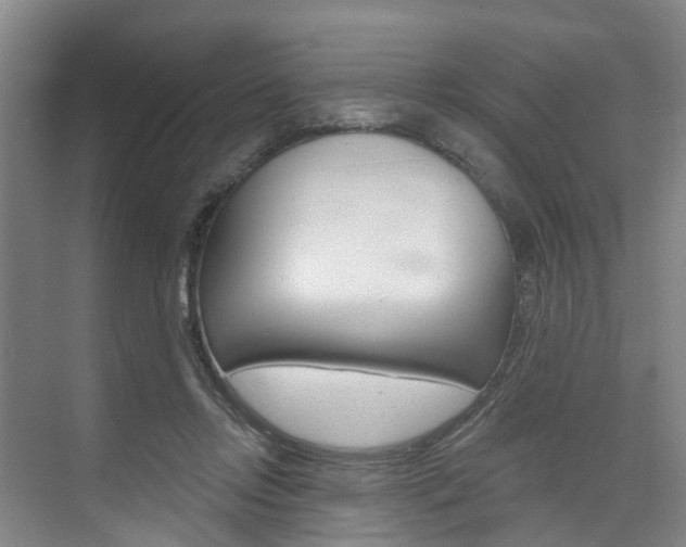 X0000074940358200609010951