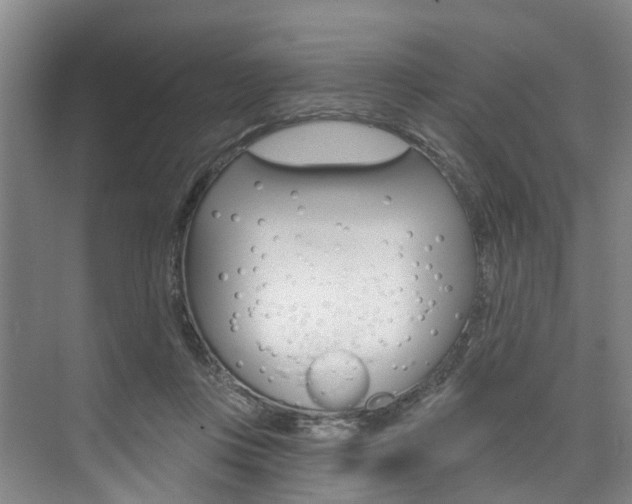 X0000074940359200609010951