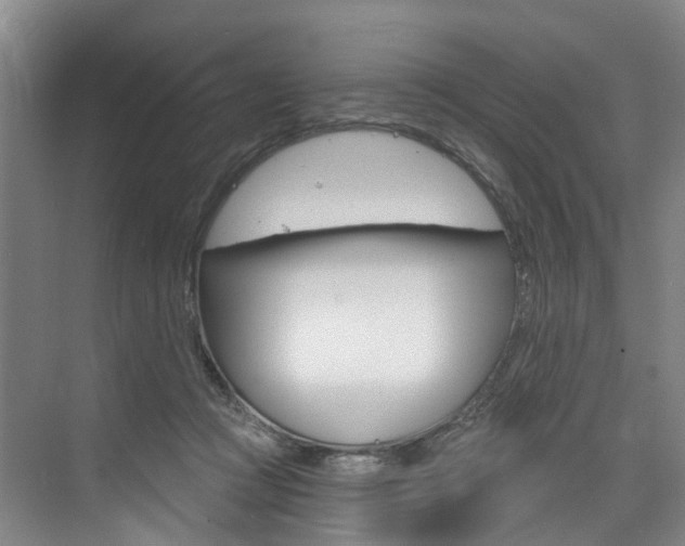 X0000074940361200609010951