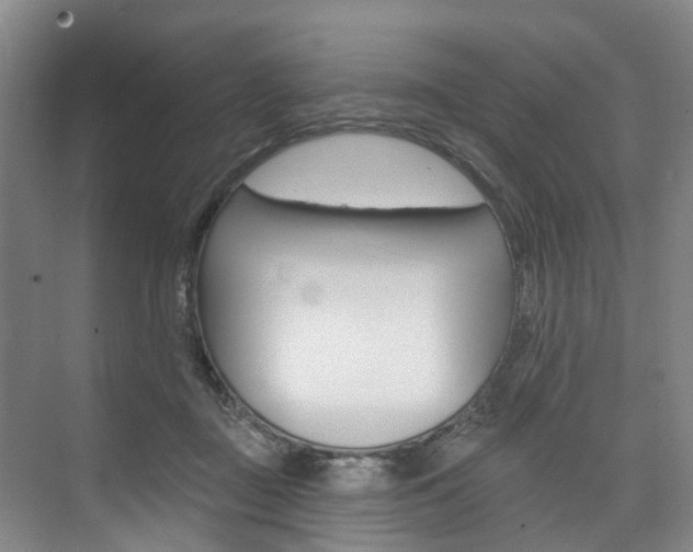 X0000074940363200609010951