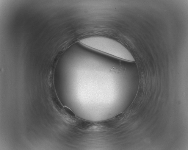 X0000074940364200609010951