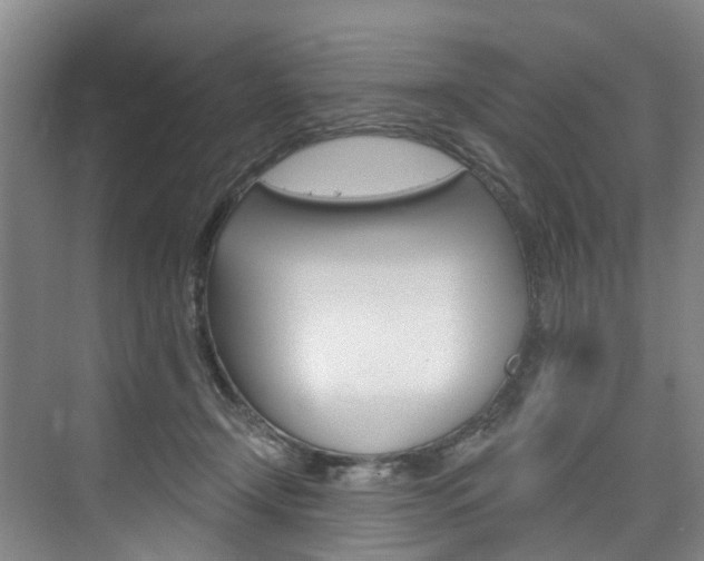 X0000074940366200609010951