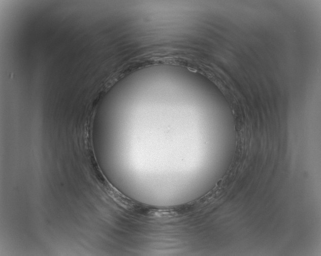 X0000074940372200609010951