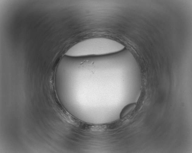 X0000074940373200609010951