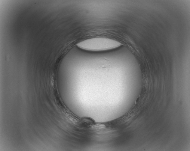 X0000074940374200609010951