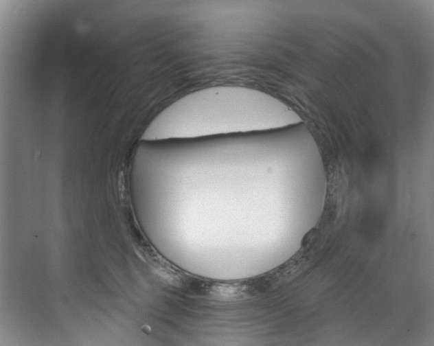 X0000074940375200609010951