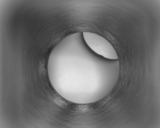 X0000074940377200609010951